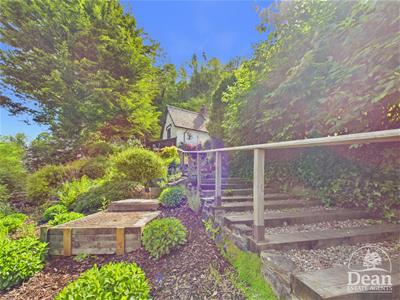 Picture 27
